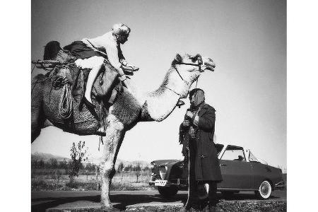 Begegnung in Afrika.