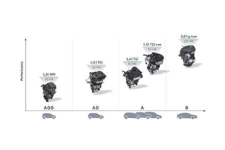 VW CNG-Motor 1,5l EA211 TGI evo 2018