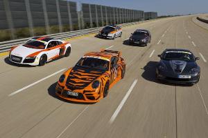 Tuningautos beim Nardo-Highspeedtest