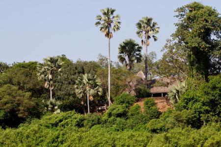 Der senegalesische Nationalpark Niokolo-Koba befindet sich seit 2007 auf der 