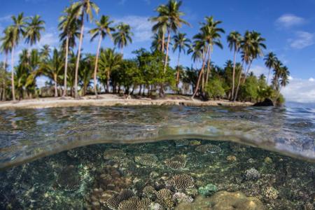 East Rennell gehört zum Inselstaat Salomonen, der aufgrund seiner Artenvielfalt und landschaftlicher Schönheit zum Weltnatur...