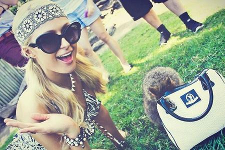 Geht es hier mehr um Paris Hilton und ihre Tasche oder um den kleinen Wombat? Geht es hier mehr um Paris Hilton und ihre Tasche oder um den kleinen Wombat?