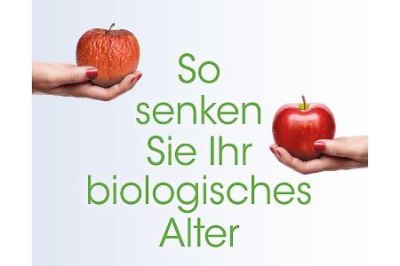 Michael Despeghels Buch 