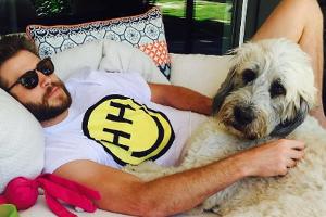 Miley Cyrus: Süße Liebeserklärung an Liam Hemsworth