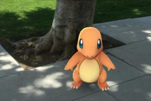"Pokémon Go": Skurrile Ereignisse und Fakten rund um die neue App