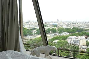 Eiffelturm: Das exklusivste Appartement der Welt