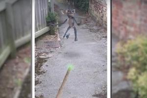 Kommt wirklich ein "Harry Potter Go"?