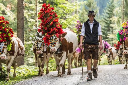 Im Tal werden Senner und Tiere von Einheimischen wie Gästen willkommen geheißen