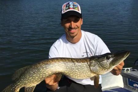 Diesen Pracht-Hecht zog Zlatan Ibrahimovic aus dem Wasser Diesen Pracht-Hecht zog Zlatan Ibrahimovic aus dem Wasser