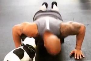 Neuer Internet-Hype: Stars starten die #22PushupChallenge