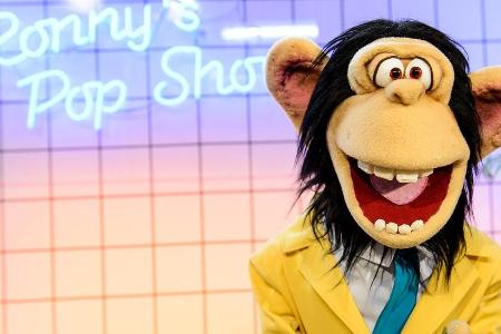 Schimpanse Ronny ist zurück Schimpanse Ronny ist zurück
