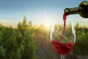 Wein schenken zum Fest? Darauf müssen Sie achten!