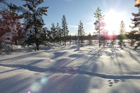 Dass der Winter in Lappland gar nicht so dunkel ist, zeigt die Autorin mit diesem Bild.
