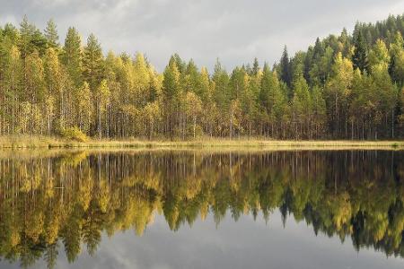 Die Autorin feiert auch die unterschiedlichen Jahreszeiten in Finnland, hier die Herbststimmung bei Ivalo.