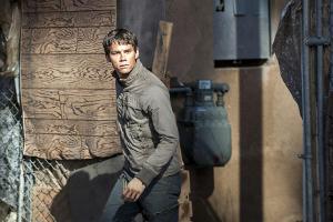 "Maze Runner: The Death Cure" kommt erst 2018 in die Kinos