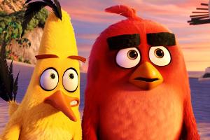 Diese sieben Dinge wussten Sie noch nicht über die "Angry Birds"