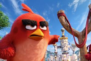 Die "Angry Birds" schleudern über die Kinoleinwand