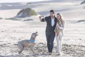 Mit dem Hund in den Urlaub: Das müssen Sie beachten