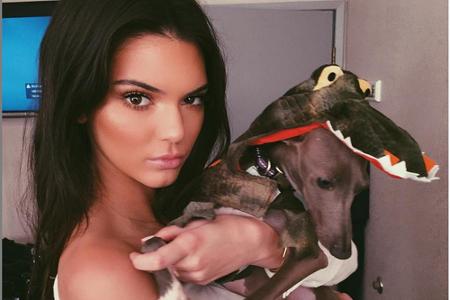 Kendall Jenner (19) liebt es, ihren kleinen Liebling in lustige Kostüme zu stecken. Im Krokodil-Look darf ihr Hund dann für ...