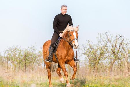 Reiten: Sport auf dem Rücken der Pferde fördert die Ausdauer und ist gut für den Rücken. Dass man dabei auf ein anderes Lebe...