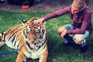 Wegen Tiger-Schnappschuss: PETA ist stocksauer auf Justin Bieber