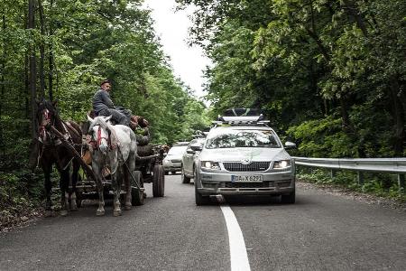 Pferdegespanne gehören in Rumänien zum alltäglichen Straßenbild