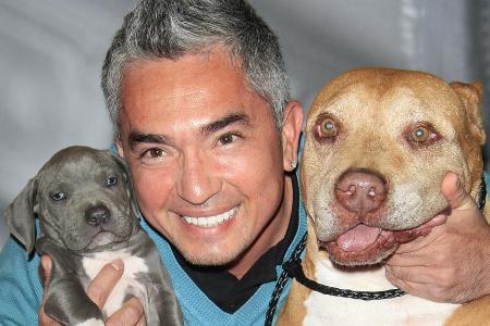 Cesar Millan und zwei seiner Hunde-Freunde Cesar Millan und zwei seiner Hunde-Freunde