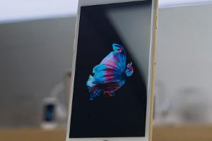 Bringt Apple ein kleines neues iPhone?