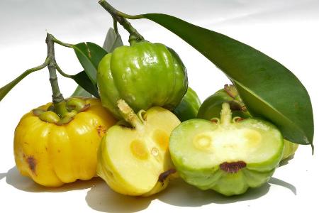 Die wirksame hydroxycitrische Säure (HCA) ist in der Tropenfrucht Garcinia Cambodgia enthalten