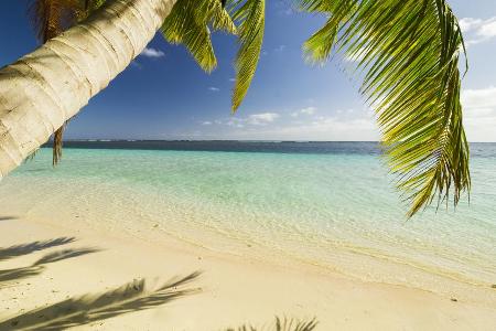 Weiße Sandstrände und Palmen, Samoa ist ein kleines Paradies