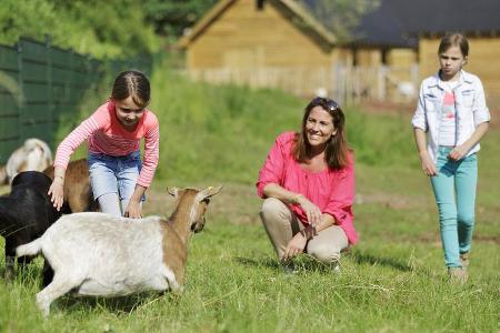 Streichelzoo im Park Bostalsee