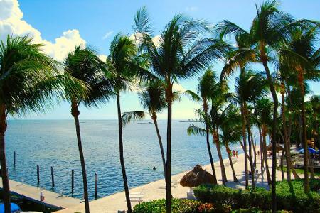 Klein und fein: Palmenstrand des Amara Cay Resort in Islamorada