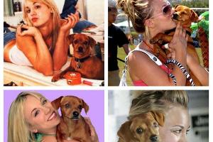 Kaley Cuoco trauert um ihren Hund