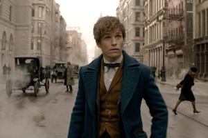 "Phantastische Tierwesen": Welche Rolle spielt Albus Dumbledore?