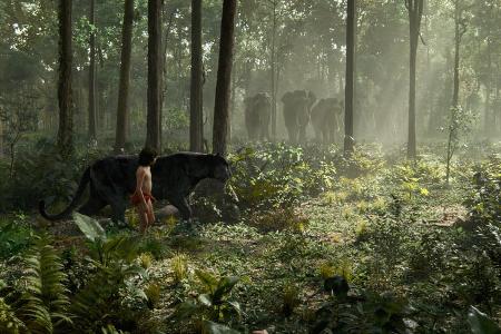 Am echten Set: Neel Sethi als Mogli und der animierte Panther Baghira