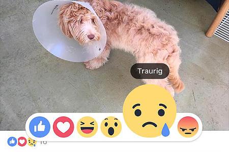 Facebook-Nutzer haben ab jetzt mehr Möglichkeiten, ihre Gefühle zu äußern
