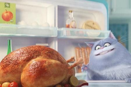 Warum sich nicht am Kühlschrank bedienen? Dieser Kater greift gleich mal nach dem vorbereiteten Braten für den Abend... Ob d...