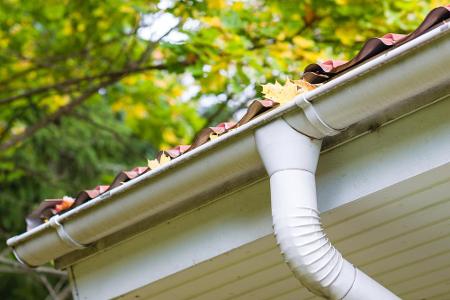 Mit Laub gefüllt und völlig verstopft: Dachrinnen eignen sich hervorragend für das Verstecken von Osternestern. Fairerweise ...