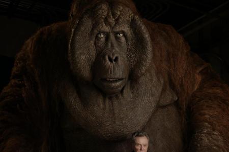 Im Original hat Louie die Stimme von Christopher Walken. Der ist derzeit auch in 