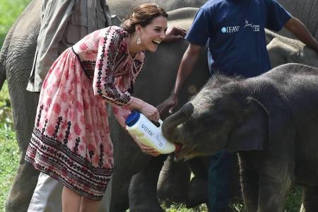 Für Kate ganz offensichtlich ein weiteres Highlight der Reise.