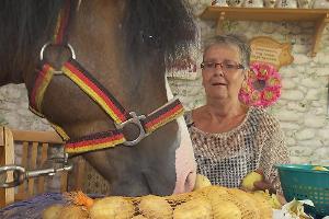 "Bauer sucht Frau": Ein Pferd in der Küche