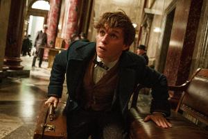 "Harry Potter"-Spin-off: Das sagt Daniel Radcliffe dazu