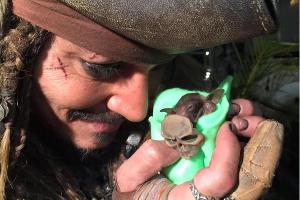So süß kümmert sich Johnny Depp um den kleinen Jackie Sparrow.