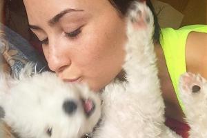 Demi Lovato trauert um ihr Hündchen Buddy