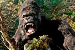 King Kong vs. Godzilla - demnächst im Kino?