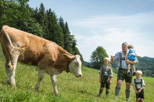Bauernhof-Ferien: "Gugln auf bayerisch"