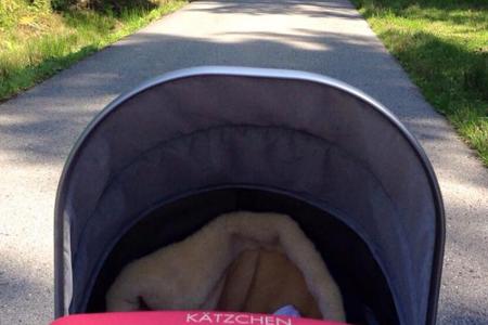 Dieses Foto vom Spaziergang teilte Daniela Katzenberger mit ihren Fans Dieses Foto vom Spaziergang teilte Daniela Katzenberger mit ihren Fans