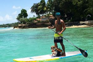 Lewis Hamilton und Coco beim Surfen