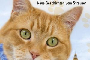 So steht es um James Bowen und seinen Kater Bob