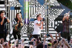 Gehen One Direction 2016 getrennte Wege?